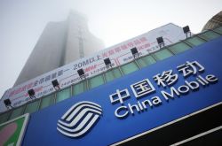 10分钟科普下!博尔塔拉政府网官网_哔哩哔哩